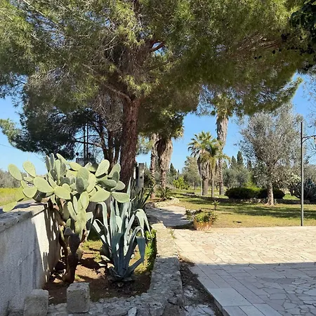 La Della Cupa San Pietro in Lama